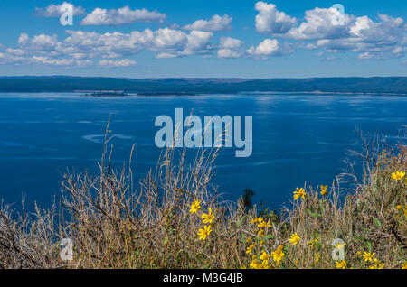 View of Yellowstone Lake from Lake Butte Overlook.  Yellowstone National Park, Wyoming, USA Stock Photo