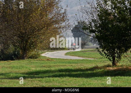 man cycling by himself for health and fitness and well being for mind calmness by green grass Stock Photo