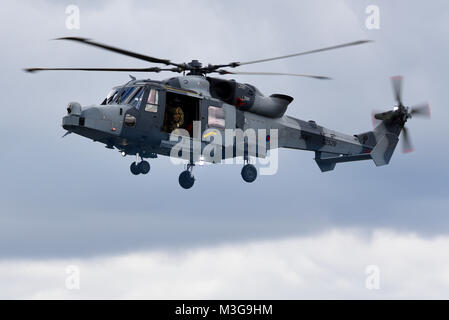 British Army Air Corps Westland Wildcat helicopter. AgustaWestland AW159 Wildcat ZZ520. Design based on Lynx Stock Photo