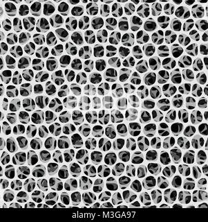 Seamless Micro Bone structure in vector art design Stock Vector