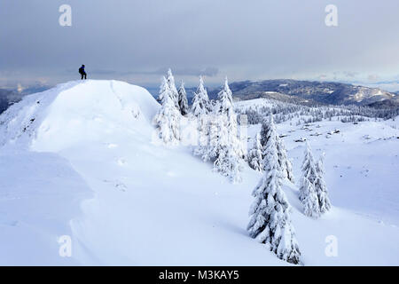 Man standing on top of the mountain in snow covered winter landscape and pine trees in the foreground. Stock Photo