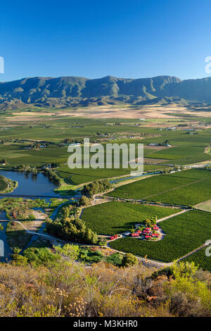 South Africa, Western Cape, Robertson, Robertson Wine Valley. Foreground: Van Loveren Wine estate and vineyards. Stock Photo