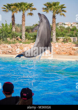 Spata Athens Greece-April 25 ,2016.Atica zoological park,kids off focus looking at a show with dolphins Stock Photo