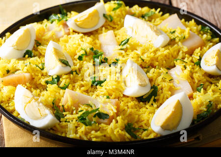 Kedgeree with smoked fish, eggs and spices close-up on a plate. horizontal Stock Photo