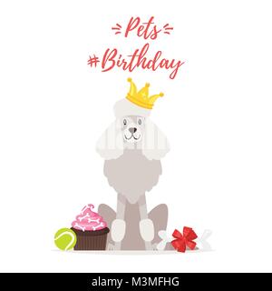 Vector  cartoon style illustration of Dog Birthday  party greeting card with poodle with golden crown and presents. Stock Vector