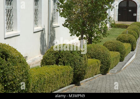 box hedge along front yard of a historic building Stock Photo