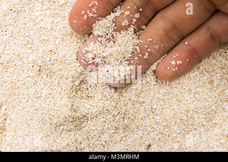 Avena Sativa is scientific name of Oat bran. Also known as Aveia or Avena. Person with grains in hand. Macro. Whole food. Stock Photo