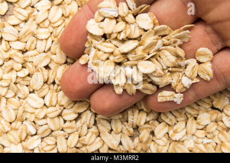 Avena Sativa is scientific name of Oat cereal grain. Also known as Aveia or Avena. Person with grains in hand. Macro. Whole food. Stock Photo