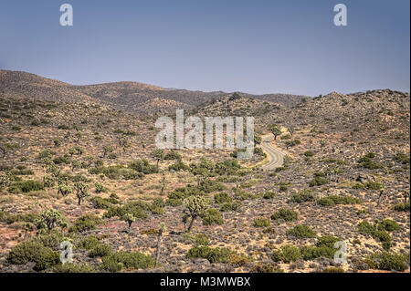 Joshua Tree National Park taken in 2015 Stock Photo