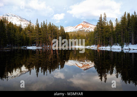 Yosemite National Park USA taken in 2015 Stock Photo