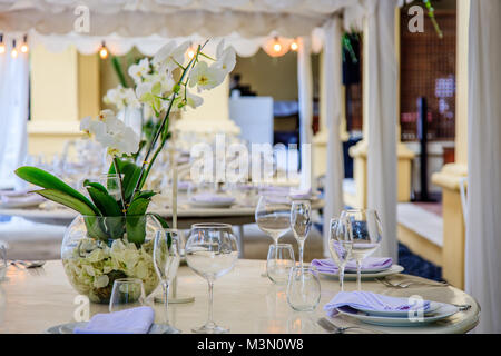 Set tables for a white wedding dinner decorated with orchids. Vases, glasses, plates, napkins, cutlery. Stock Photo