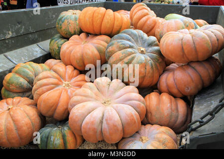 Stack of pumpkins Stock Photo