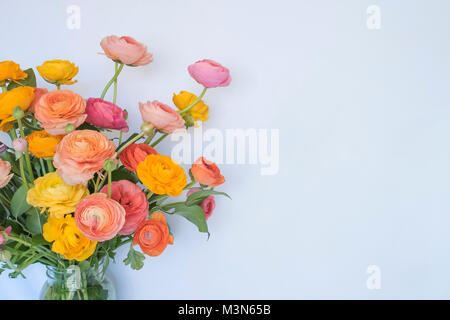 Bouquet of Bright Ranunculus Flowers on White Background Stock Photo