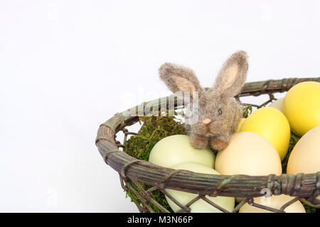 Small Felted Bunny Rabbit Sits on Colored Eggs in Wire Basket on White Background Stock Photo