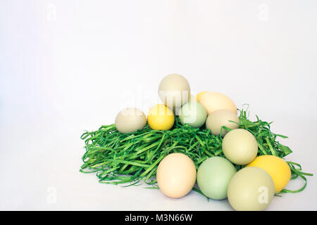 Colored Eggs with Green Grass on White Background Stock Photo