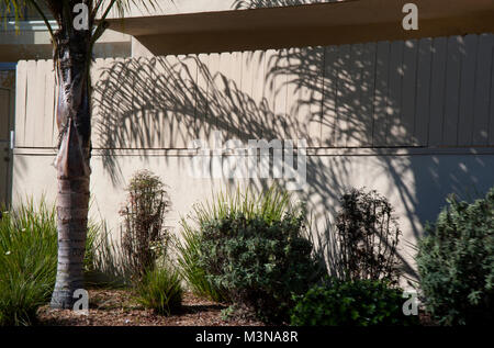 Landscaping at apartment building on Washington Blvd. in Los Angeles, CA Stock Photo