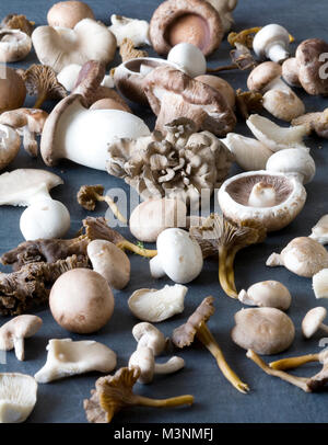 Selection of wild and farmed mushrooms on a slate background. Stock Photo