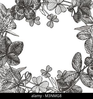 Hand-drawn graphic clover flower illustration. Painted botanical three-leaved meadow grass, isolated on white background. Happy St.Patrick 's Day card compositions. Stock Vector