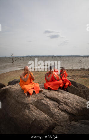 Buddhist monks praying meditating by the lake rock dead trees in Sri Lanka Kaudulla National Park Stock Photo