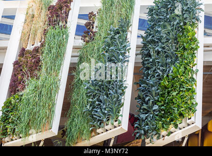 building with plants growing on the facade. Ecology and green living in city, urban environment concept Stock Photo