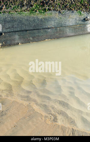 pool of sea water in front of a barnacle covered groyne at Bexhill beach Stock Photo