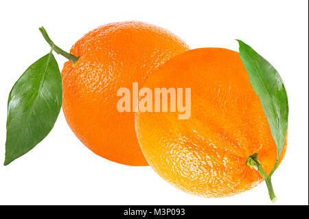 Isolated oranges. Two oranges with leaf isolated on white background with clipping path as packaging design element. Stock Photo