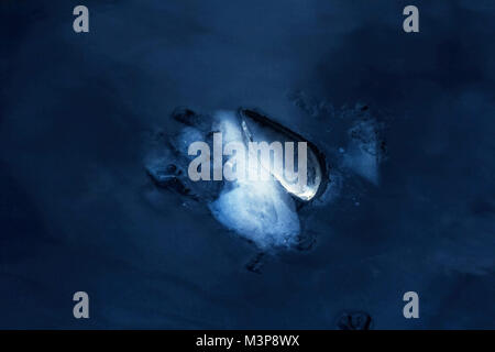 Great elegant original ice in deep dark water Stock Photo