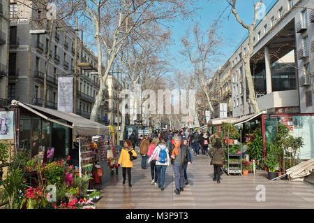 La Rambla, famous boulevard in Barcelona, Spain Stock Photo
