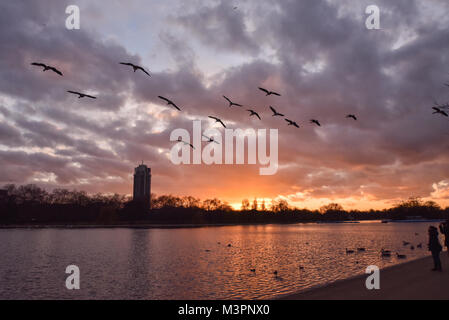 Hyde Park, London, UK. 12th February 2018. Sunset over the Serpentine lake in Hyde Park. Credit: Matthew Chattle/Alamy Live News Stock Photo