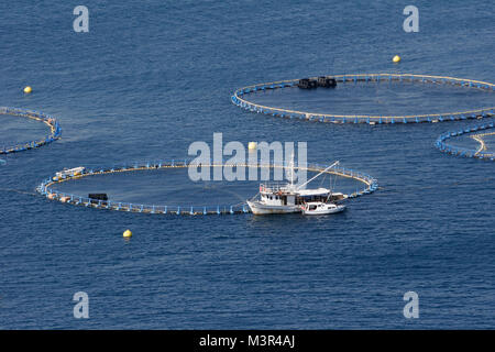 Cages for tuna farming in Adriatic sea in Croatia Stock Photo
