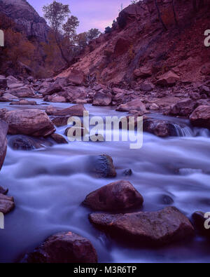 River through Zion national park with rocks at dusk, Utah, United States of America Stock Photo