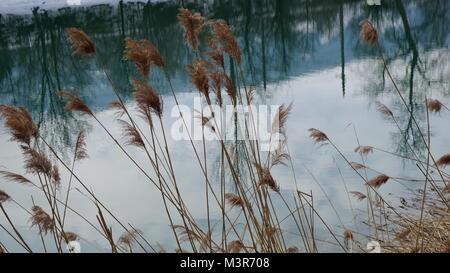 Terfens Tyrol Austria near Schwaz and Innsbruck - swimming and fishing lake Weisslahn in Winter Stock Photo