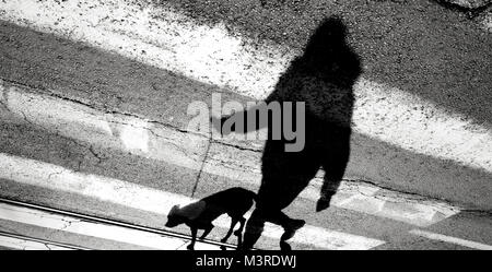 Shadow silhouette of a person walking a dog on a leash and crossing the street