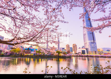 SEOUL, KOREA - APRIL 7, 2016: Lotte World Seokchon Lake park at night and cherry blossom of Spring in Seoul, South Korea on April 7, 2016 Stock Photo