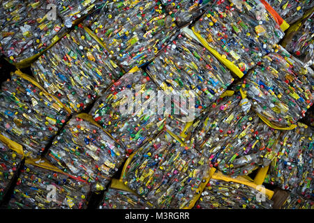 Brazil. Sao Paulo. Plastic bottles recycling project. Waste sorting center. Stock Photo