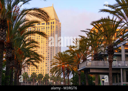 Palm trees and Manchester Grand Hyatt Hotel in background. San Diego, California. Stock Photo