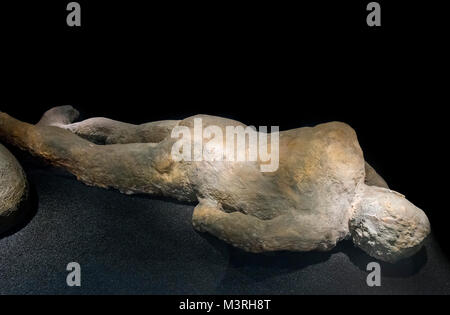 Cast of the body of a victim from Pompeii after the eruption of Mount Vesuvius in AD 79, Natural History Museum, London, England, UK Stock Photo
