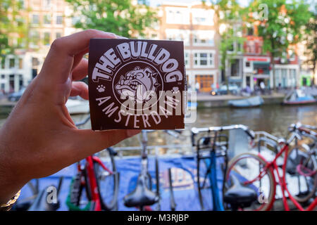 AMSTERDAM, THE NETHERLANDS - JUNE 10, 2014: Hand holds marijuana cupcake from Bulldog coffee shop Stock Photo