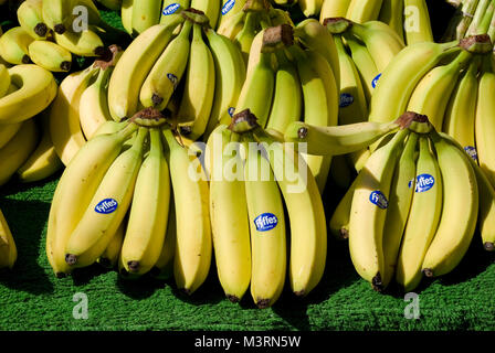 Bananas on Market Stall Stock Photo