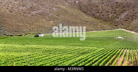 Countryside around Worcester in South Africa's Cape Province. Stock Photo