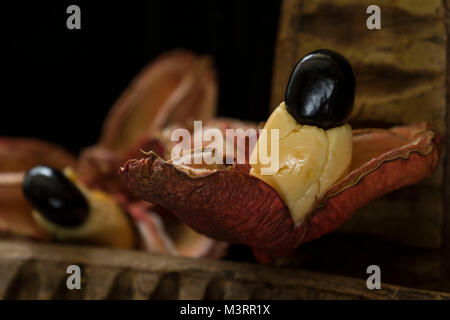 Jamaican ackee pods still-life, St. Thomas parish, Jamaica, West Indies, Caribbean Stock Photo