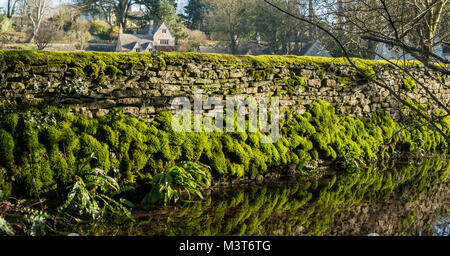 Moss covered dry stone wall reflecting in a small stream, Bibury, Gloucestershire, UK Stock Photo