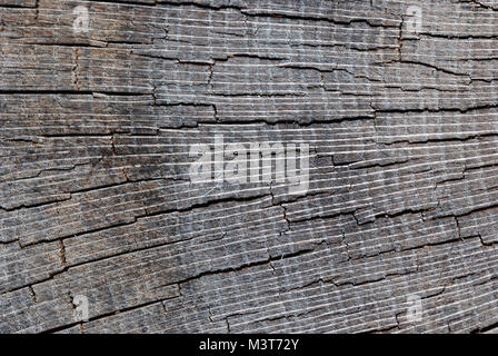 close up of a torn wood from a bole Stock Photo