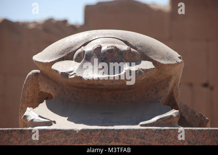 scarab beetle of stone sculpture in Egyptian temple complex Stock Photo