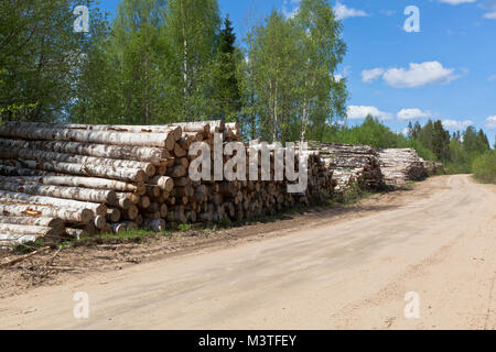 Stacks of birch logs close to the country road. Road in Verhovazhskom district Vologda region, Russia Stock Photo