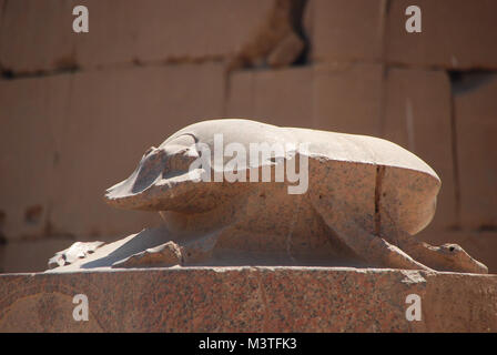 beetles made of stone temples in the Egyptian scarab sideview Stock Photo