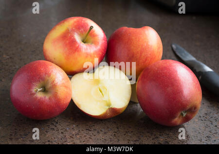 Jazz apples showing clean white flesh of these crisp and juicy eating apples in an English winter Stock Photo
