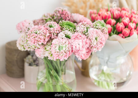 Persian buttercup. lace with many petals. Bunch pale pink ranunculus flowers light background. Wallpaper