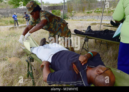 170610-N-CM227-190 Fire officers from the Bridgetown Fire Department assess and assist a volunteer actor during a mass casualty drill at the site of the former Glendairy Prison. The scenario was based on the idea that an earthquake caused a hotel to collapse and local emergency services and Barbados Defence Force (BDF) personnel were working together to rescue and treat survivors. Tradewinds 2017 Regional Observer and Assessment Team (ROAT) members from multiple countries watched the exercise to take notes and create an assessment for Barbadian officials. The report will contain ideas of ways  Stock Photo