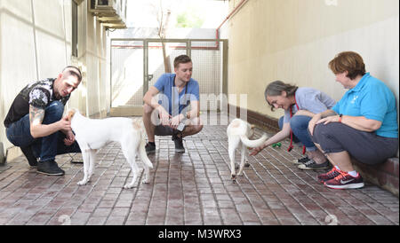 DUBAI, United Arab Emirates (Sept. 28, 2017) U.S. Navy Sailors assigned to the aircraft carrier USS Nimitz (CVN 68) volunteer at the K9 Friends dog shelter in Dubai, United Arab Emirates, Sept. 28, 2017. Nimitz is deployed in the U.S. 5th Fleet area of operations in support of Operation Inherent Resolve. While in this region, the ship and strike group are conducting maritime security operations to reassure allies and partners, preserve freedom of navigation, and maintain the free flow of commerce. (U.S. Navy photo by Mass Communication Specialist Seaman Cody M. Deccio/Released) 170927-N-MH057- Stock Photo